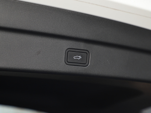 20212.0T PHEV Halo  g