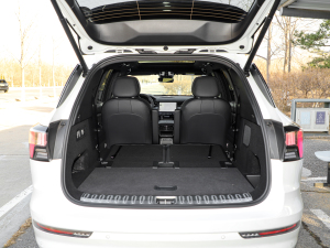 20212.0T PHEV Halo  g