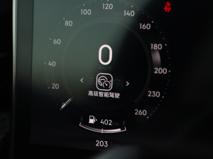 20212.0T PHEV Halo  п؅^