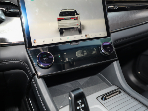 20212.0T PHEV Halo  {{