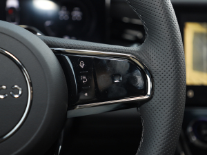 20212.0T PHEV Halo  п؅^