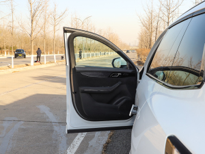 20212.0T PHEV Halo  {λ܇T