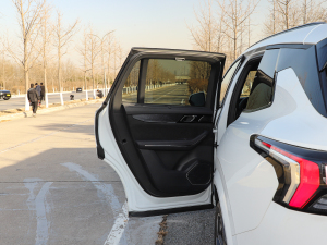 20212.0T PHEV Halo  ܇T