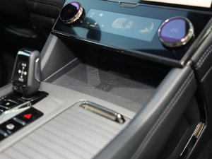 20212.0T PHEV Halo  п؅^