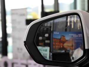 20212.0T PHEV Halo  ^