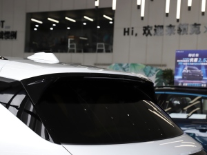 20212.0T PHEV Halo  ^