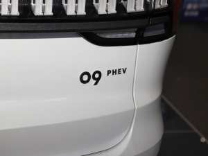 20212.0T PHEV Halo  ^