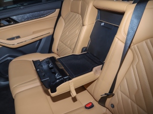 20212.0T PHEV Halo  ֹ