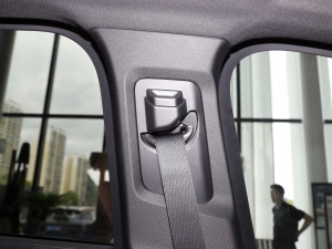 20212.0T PHEV Halo  g