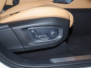 20212.0T PHEV Halo  g