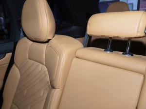 20212.0T PHEV Halo  g