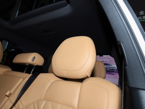 20212.0T PHEV Halo  g