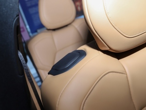 20212.0T PHEV Halo  g