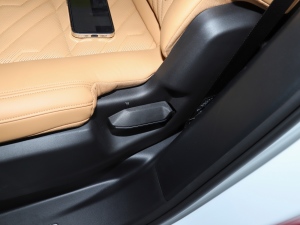 20212.0T PHEV Halo  g