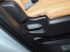 20212.0T PHEV Halo  g