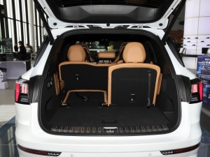 20212.0T PHEV Halo  g