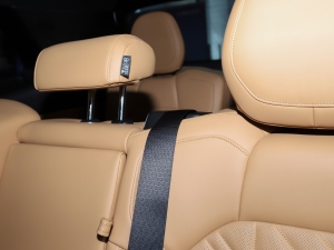 20212.0T PHEV Halo  g