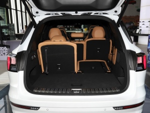 20212.0T PHEV Halo  g