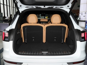 20212.0T PHEV Halo  g