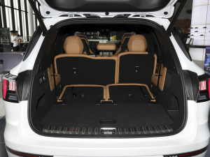 20212.0T PHEV Halo  g