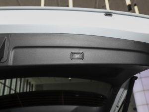 20212.0T PHEV Halo  g