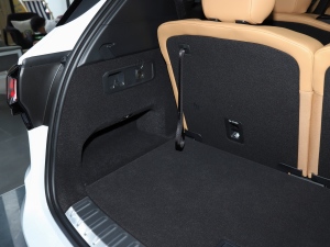 20212.0T PHEV Halo  g