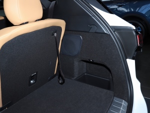 20212.0T PHEV Halo  g