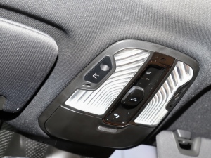 20212.0T PHEV Halo  п؅^