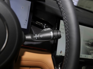 20212.0T PHEV Halo  п؅^