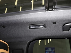 20212.0T PHEV Halo  п؅^