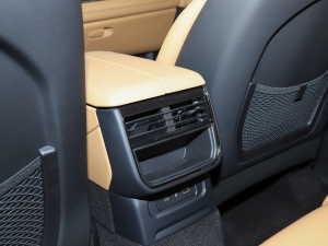 20212.0T PHEV Halo  п؅^