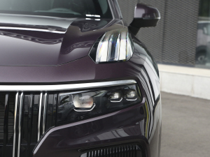 20212.0T PHEV Ultra  ^