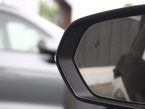 20212.0T PHEV Ultra  ^