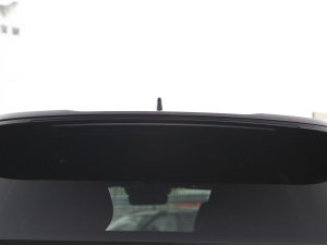 20212.0T PHEV Ultra  ^