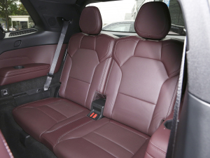 20212.0T PHEV Ultra  g