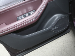 20212.0T PHEV Ultra  ǰTg