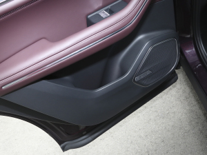 20212.0T PHEV Ultra  Tg