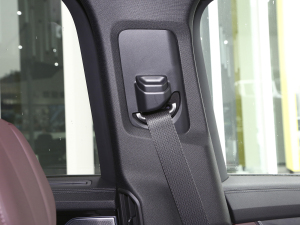 20212.0T PHEV Ultra  g