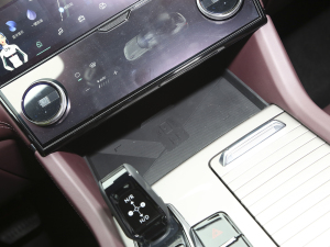 20212.0T PHEV Ultra  g