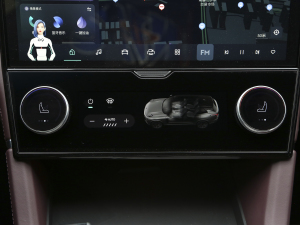 20212.0T PHEV Ultra  g