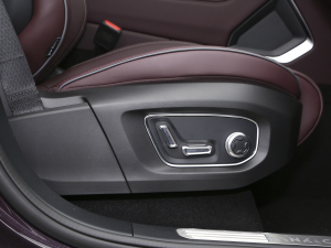 20212.0T PHEV Ultra  g