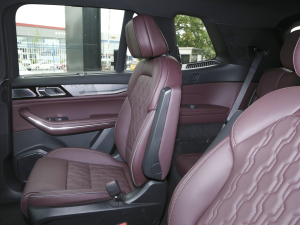 20212.0T PHEV Ultra  g