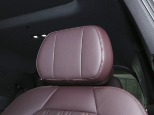 20212.0T PHEV Ultra  g