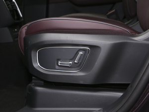 20212.0T PHEV Ultra  g