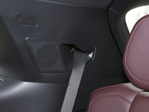 20212.0T PHEV Ultra  g