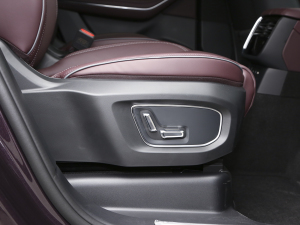 20212.0T PHEV Ultra  g