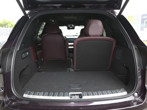 20212.0T PHEV Ultra  g