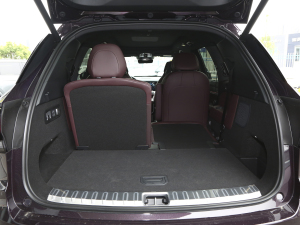 20212.0T PHEV Ultra  g