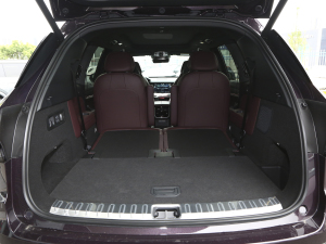 20212.0T PHEV Ultra  g