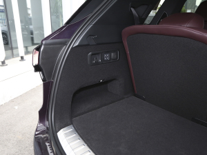 20212.0T PHEV Ultra  g